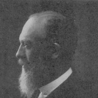 Schickedanz Albert (Schikedanz Albert)