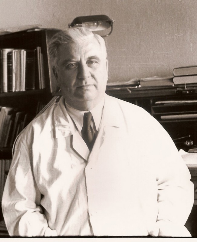 Méhes Gyula