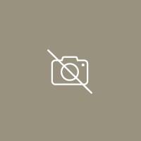 Mihelics Béla Vid (Mihelics Vid) 