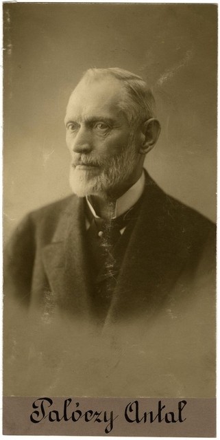 Palóczy Antal (Palóczi Antal; Platzer Antal)