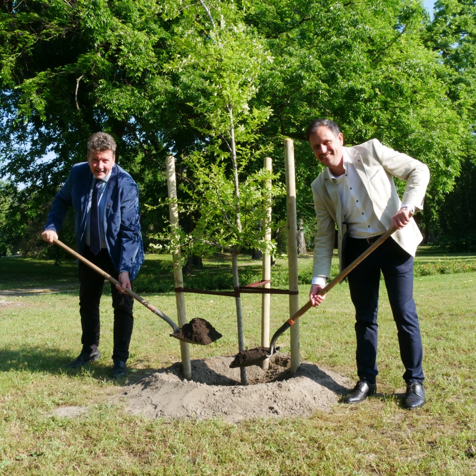Élj békében, hogy békében nyugodhass! - Magyar kezdeményezésű faültetési akció Európa jelentős temetőiben a békéért