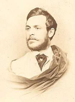Reviczky Szevér, revisnyei