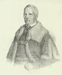 Károlyi István, nagykárolyi gróf