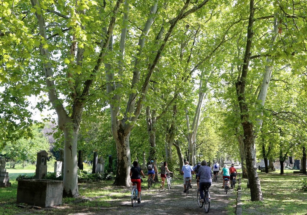Közel húszezren vettek részt az ötödik Emlékhelyek Napja rendezvényein