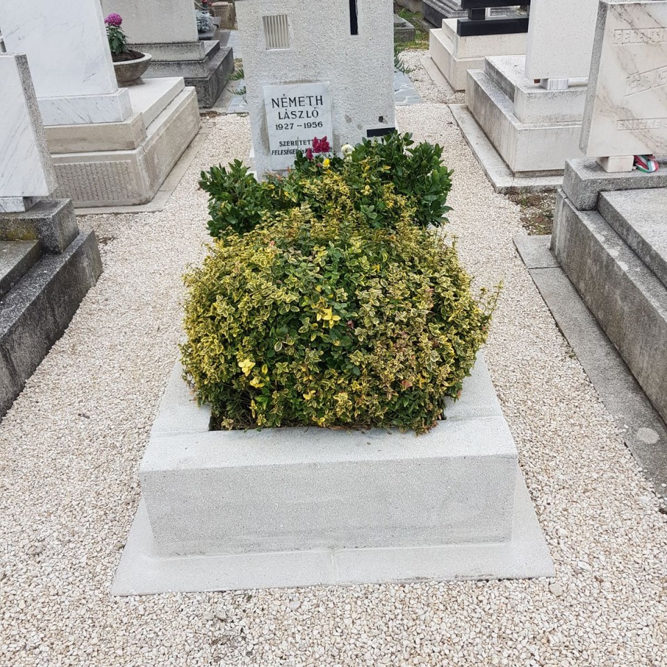 Németh László