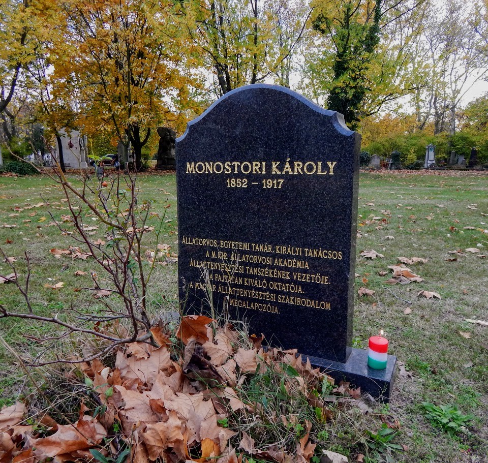 Monostori Károly (Krausz Károly)
