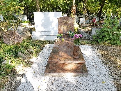 Székely Éva