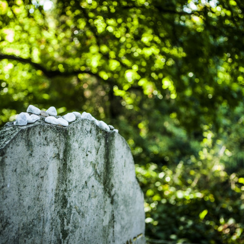 Újra látogatható a Salgótarjáni Utcai Zsidó Temető