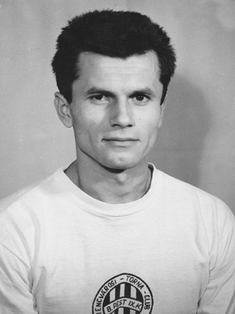 Páncsics Miklós