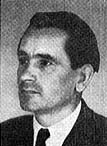 Pálfy Miklós