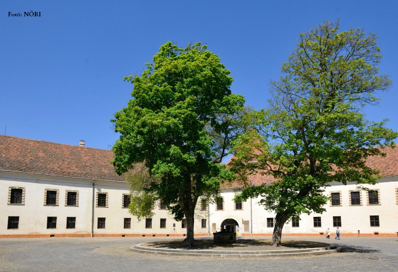 Sárvári vár 