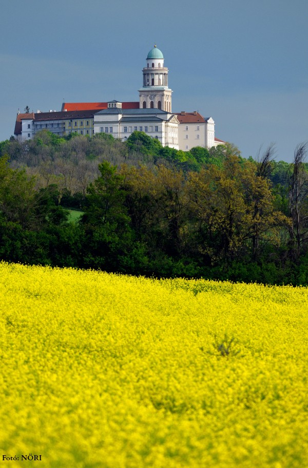Pannonhalma, Bencés Főapátság