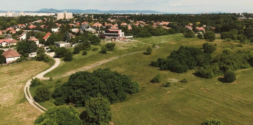 rákosmezei Királydomb