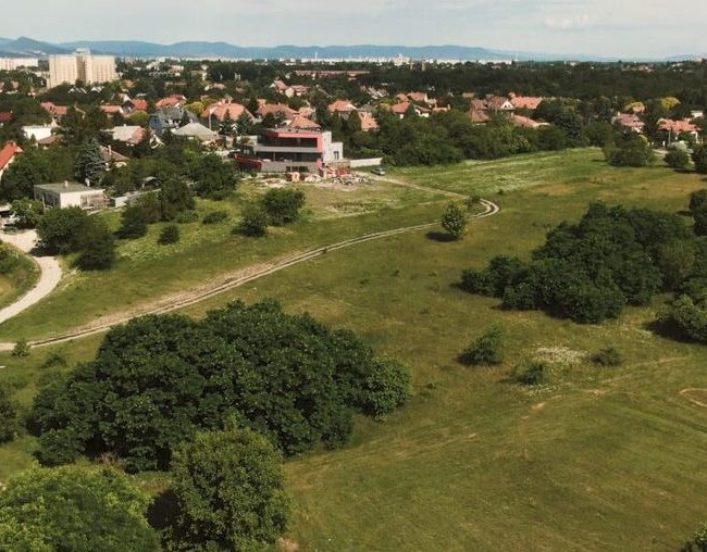 rákosmezei Királydomb